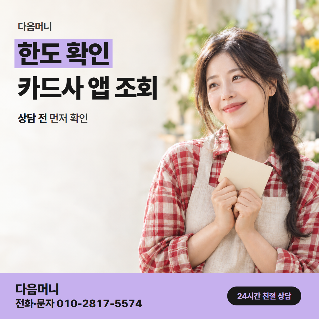 다음머니 시흥카드깡 한도 확인